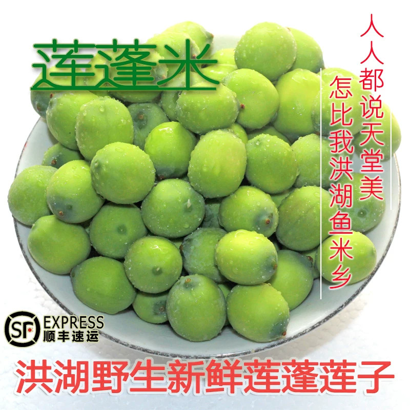 2026洪湖新鲜冷冻嫩莲子莲蓬