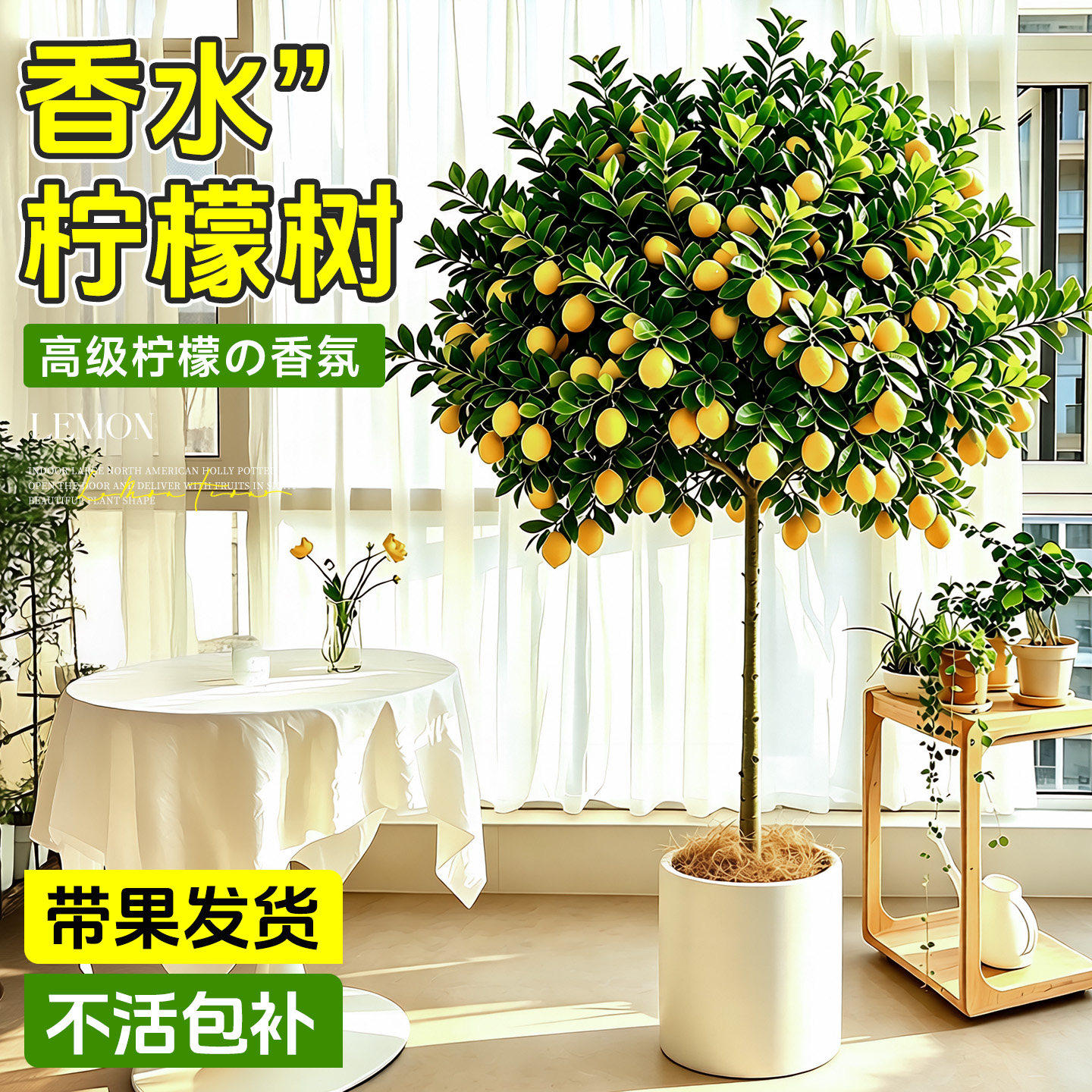 香水柠檬树盆栽四季带果绿植室内客厅可食用大型植物阳台老桩好养