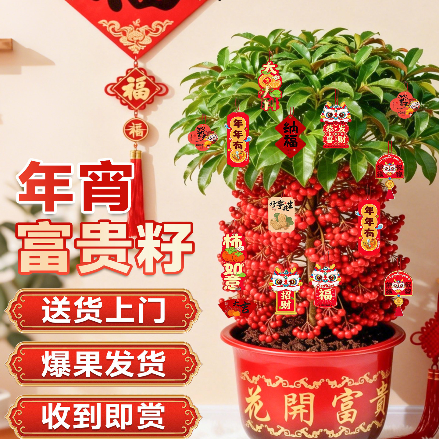 富贵籽老桩盆栽带红果年宵花客厅