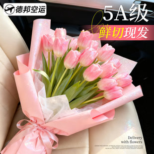 郁金香鲜花云南基地直发真花鲜切花束家用客厅花瓶插花水培水养花