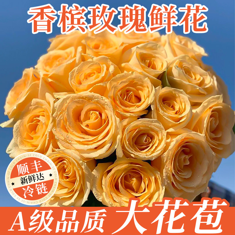 黄色香槟玫瑰花鲜花束云南基地直图片