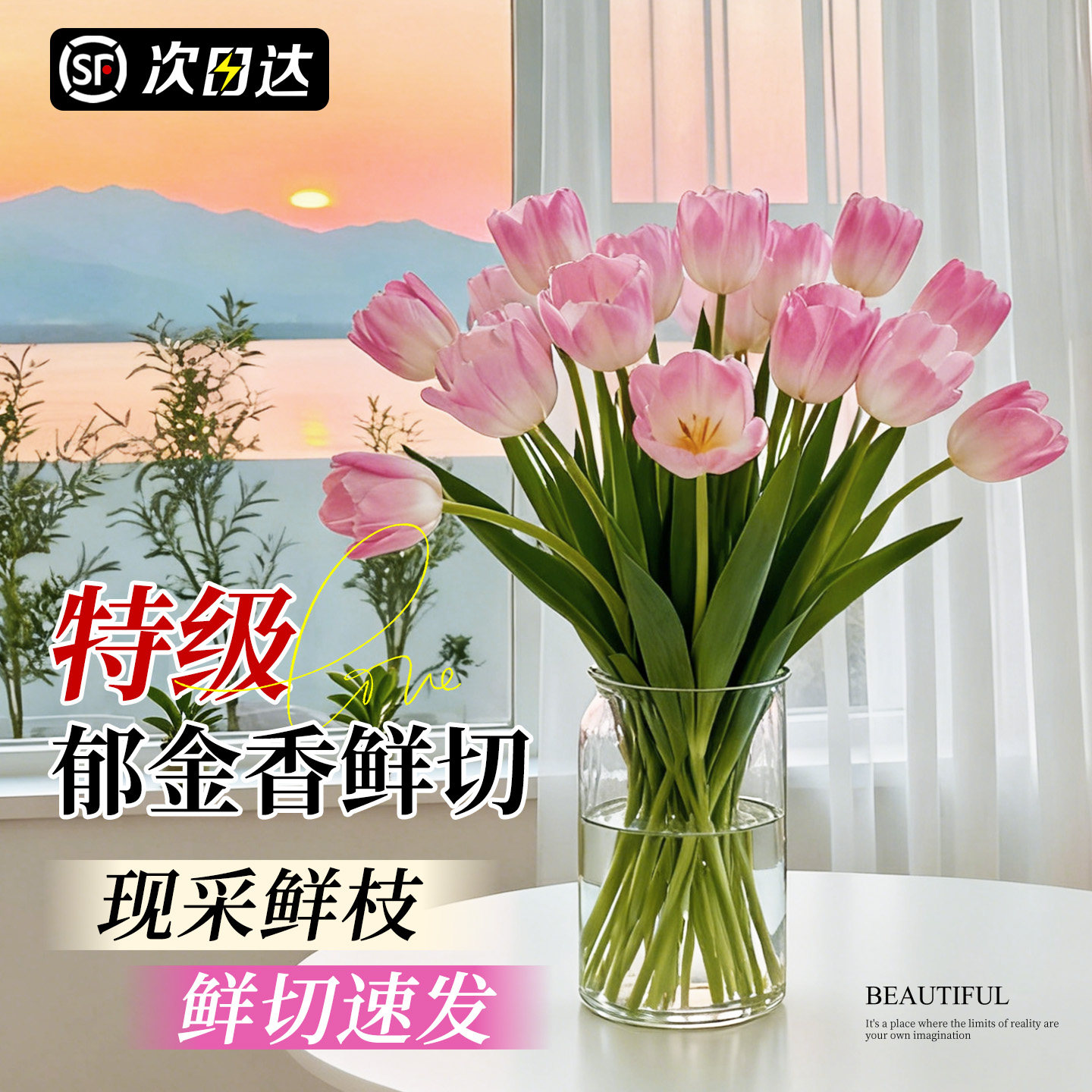 郁金香鲜花云南基地直发顺丰