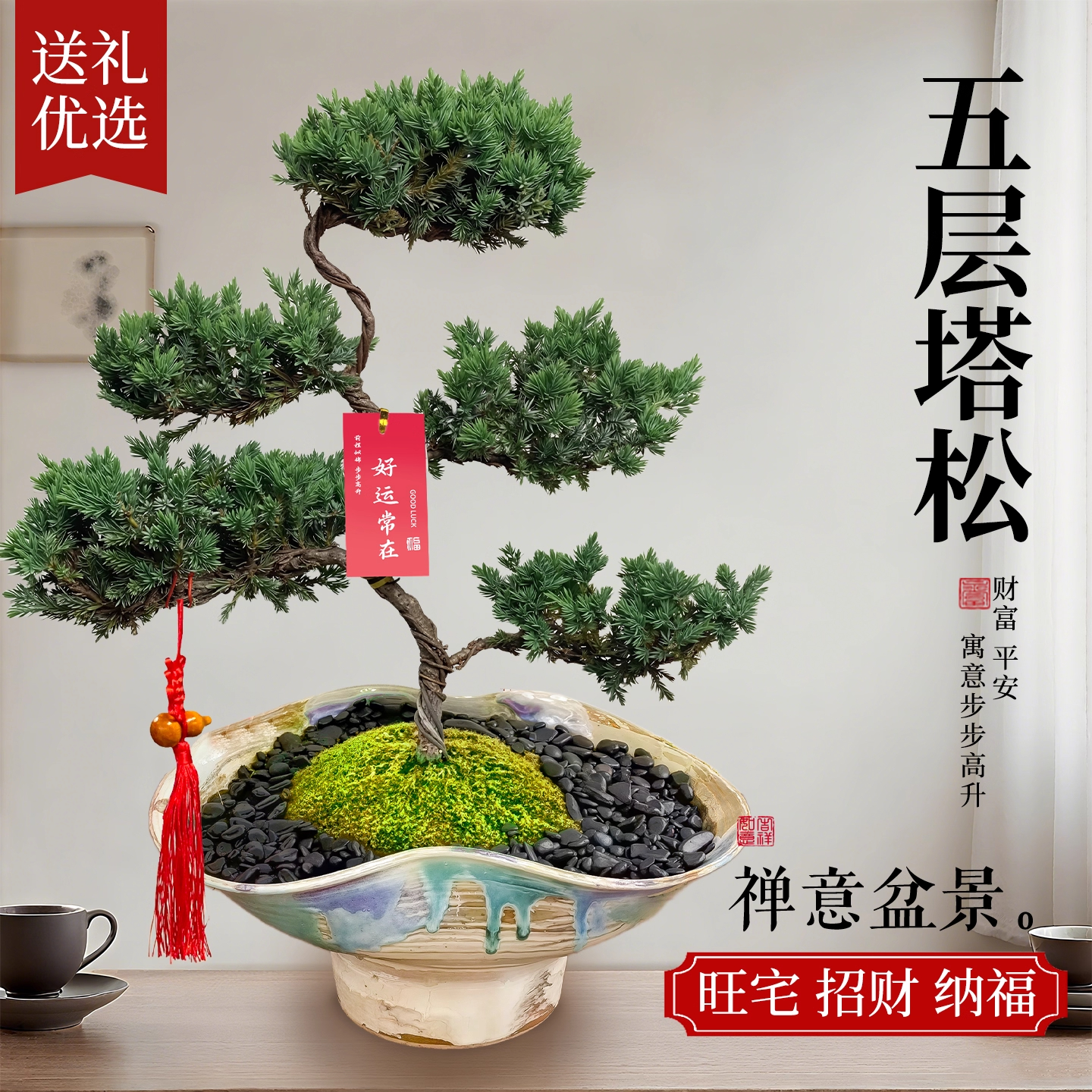 五层塔松盆栽真柏迎客松真树盆景