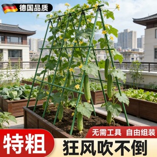 丝瓜架黄瓜爬藤架子搭棚子支架番茄支撑架西瓜豆角爬藤植物固定架