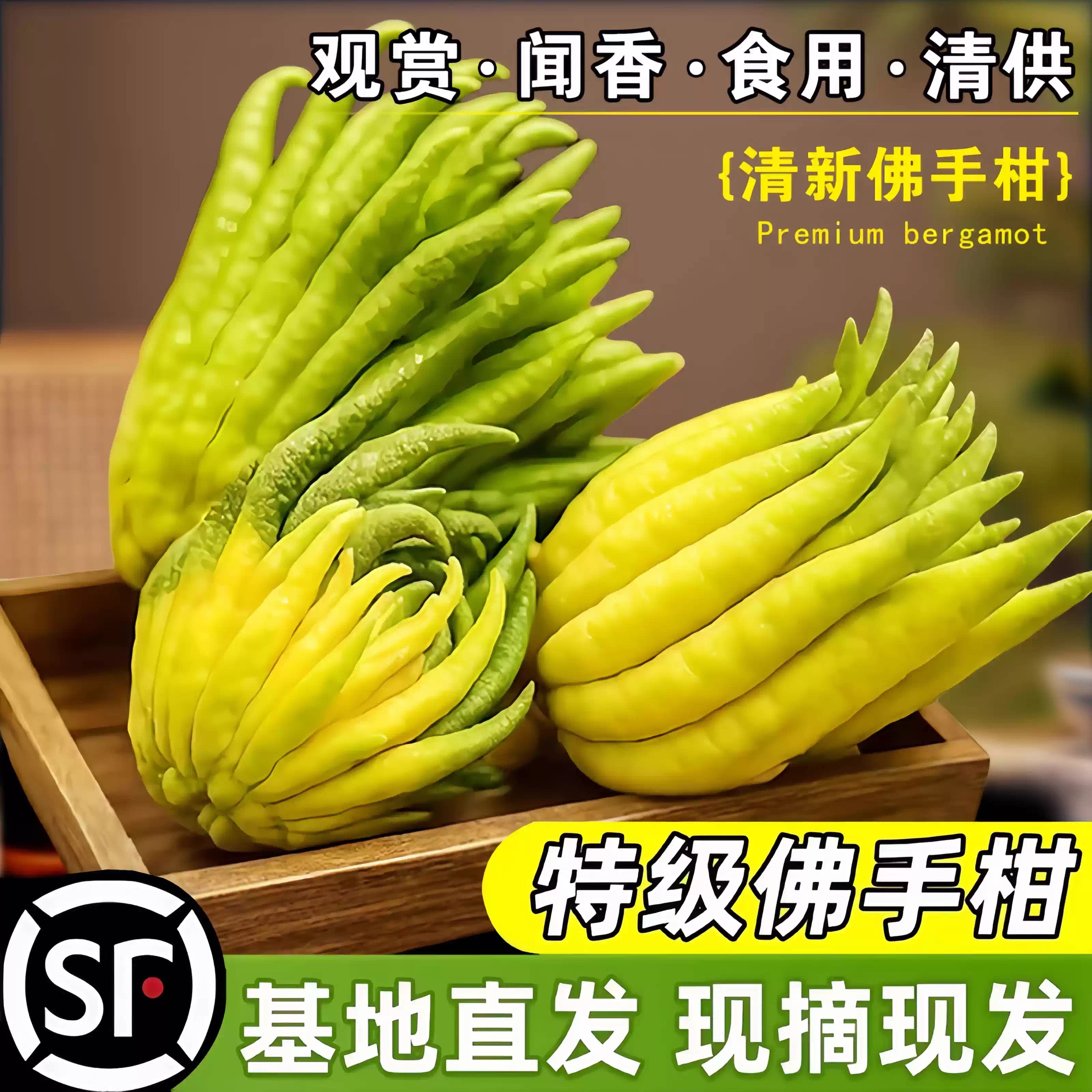佛手柑鲜果新鲜佛手瓜切带枝室内摆件清供观赏闻香可食用花卉盆栽