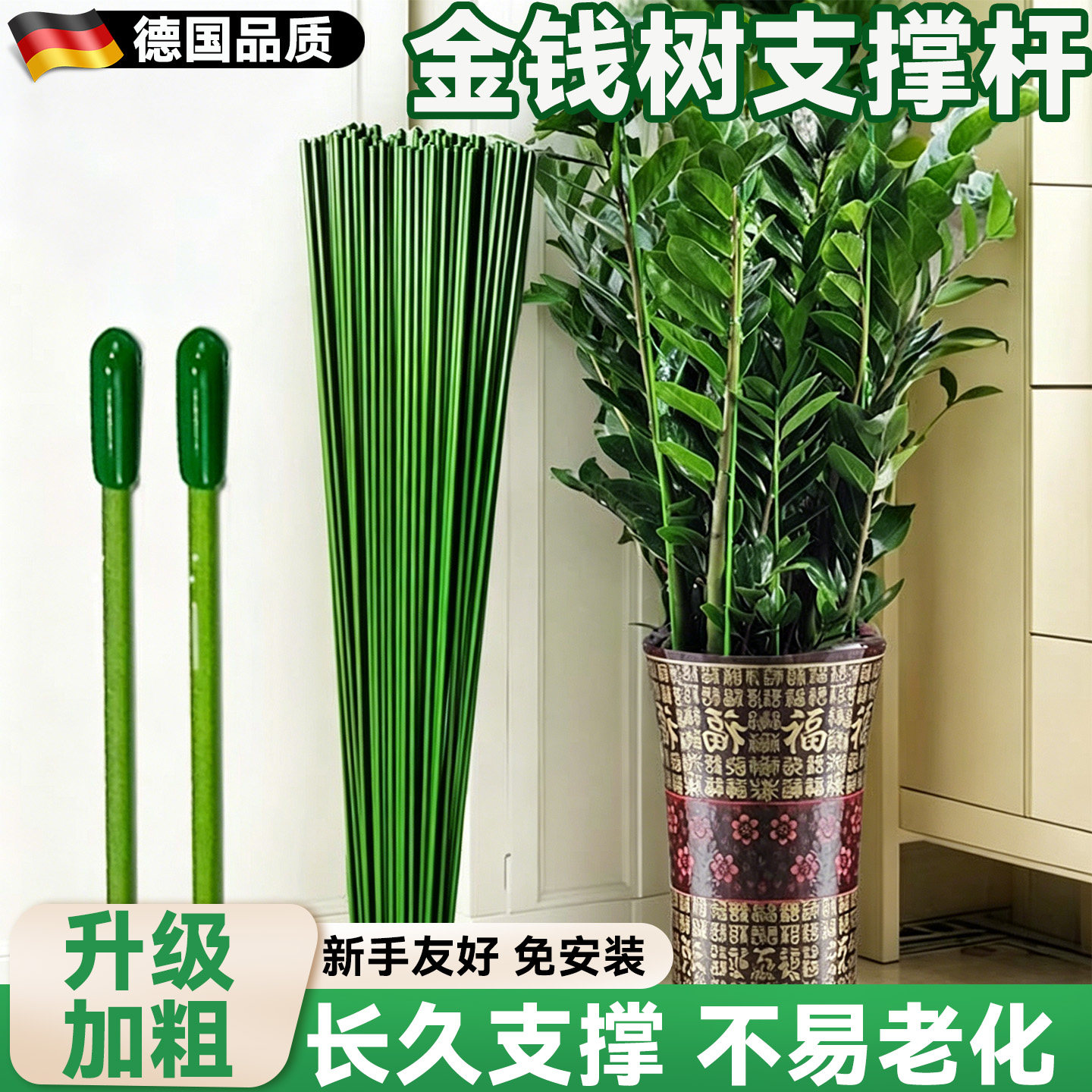 金钱树支撑杆植物固定支架花的支图片