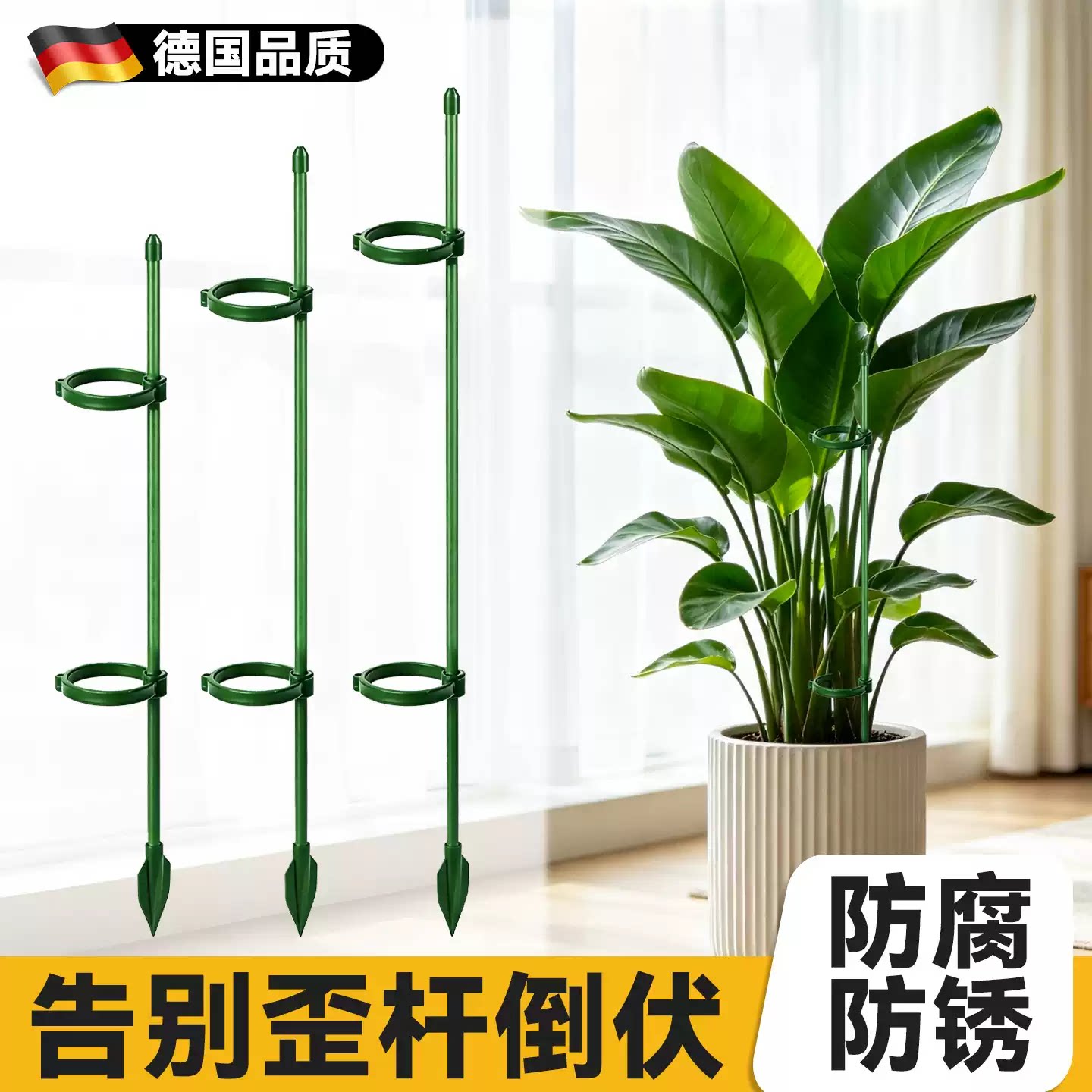 天堂鸟支撑杆植物支撑架盆栽室内图片