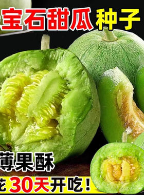 绿宝石甜瓜种籽大全正品羊