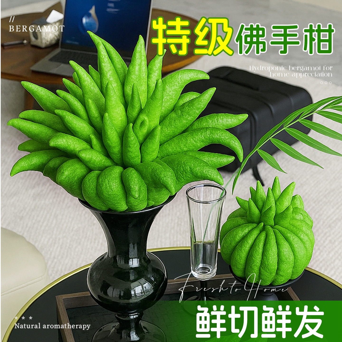 云南佛手柑鲜果闻香金华高山大佛手瓜水培植物观赏香薰室内摆件