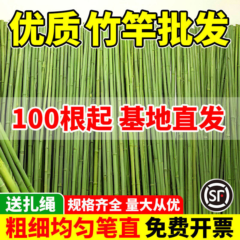 竹竿菜园搭架棍蔬菜支架竹子批发