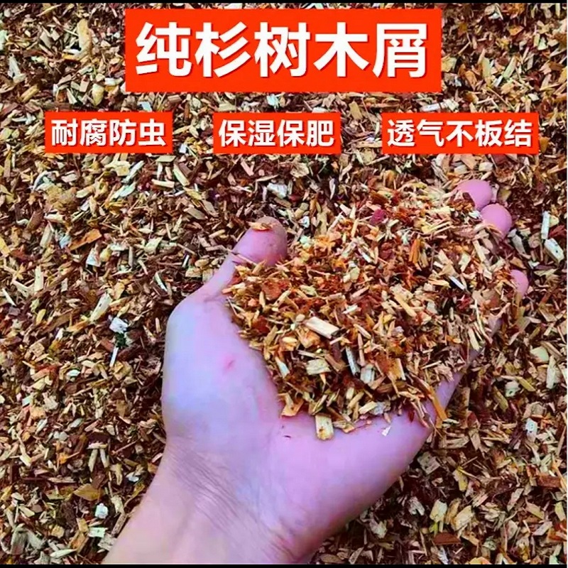 兰花专用营养土花土家用养花通用型种植植料花泥土多肉兰花土盆.
