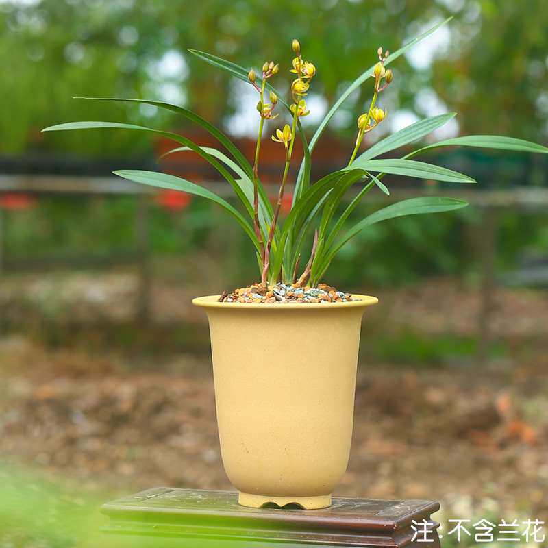 宜兴神力紫砂花盆名家全手精品古典圆形大小号兰花盆京钟长情