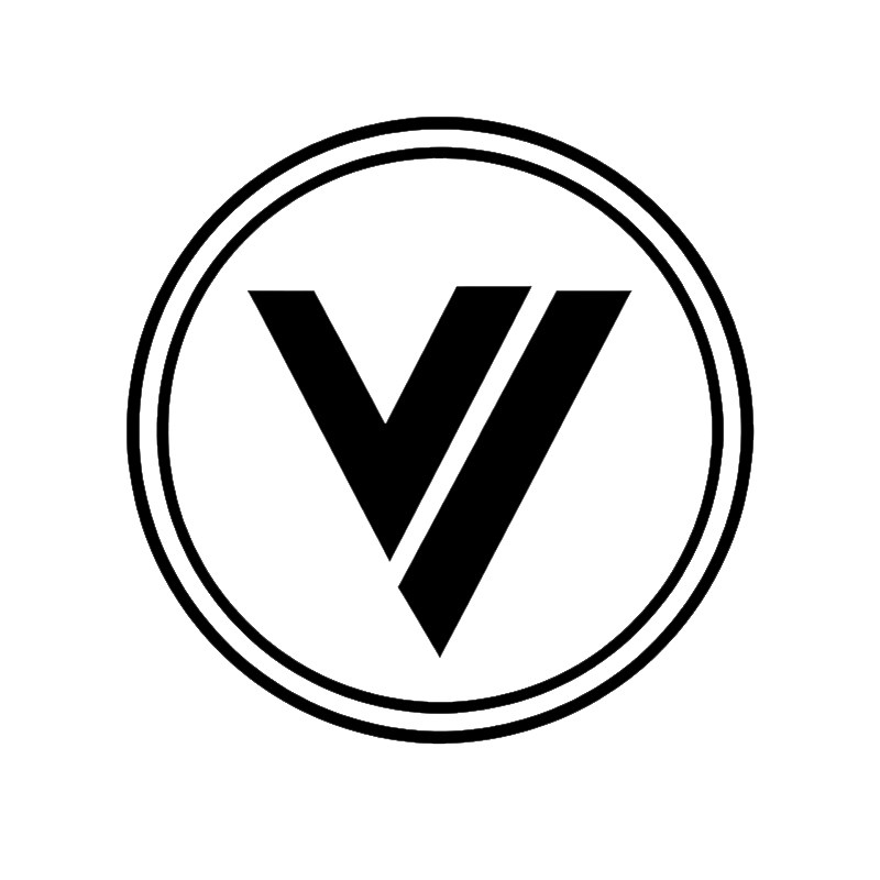 正常发新款snus velo口含袋薄荷水果味VELO口袋ZYNsnus zyn口含袋