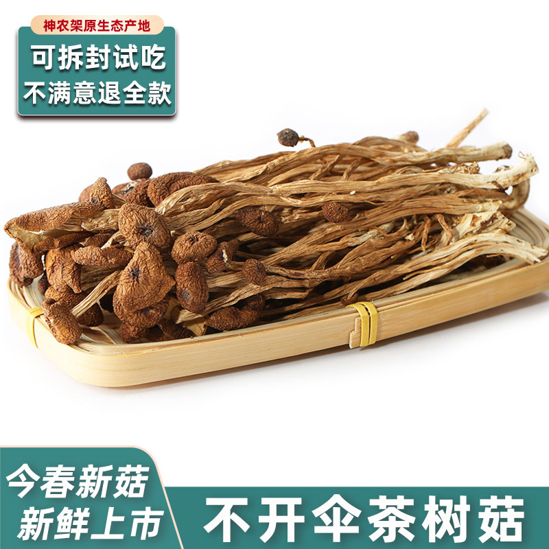 不开伞茶树菇250g神农架干货