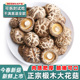 正宗房县小花菇大蘑菇助农特产神农架非野生椴木迷你香菇干货冬菇