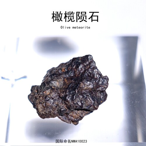 天然摩洛哥NWA10023橄榄陨石原石标本铁镍铁陨石星星礼物科普收藏