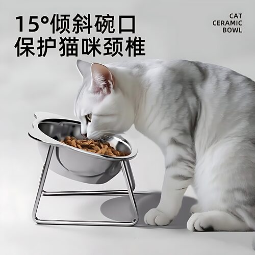倾斜猫碗304不锈钢高脚防滑食碗