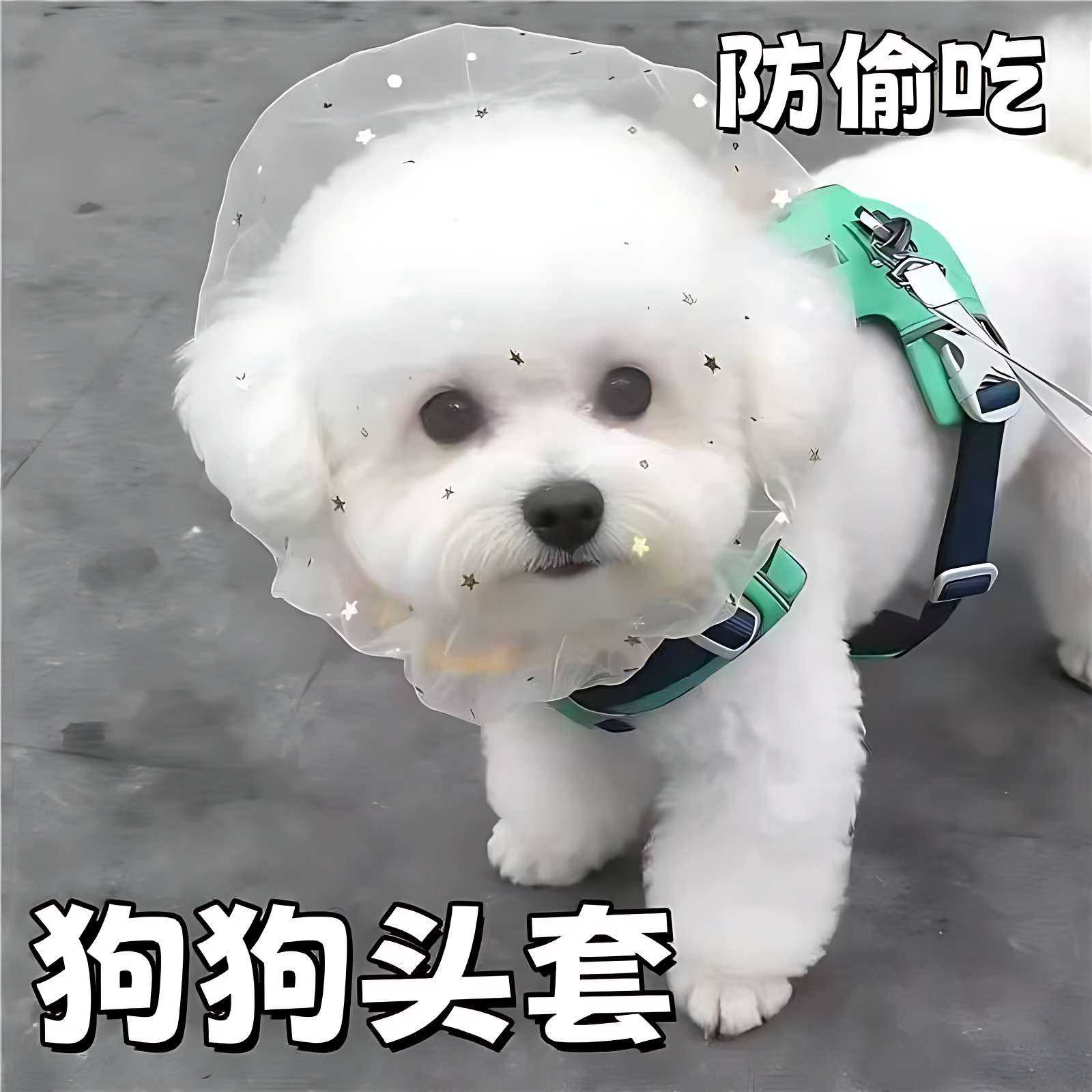 防偷吃乱吃专用网纱狗狗头套｜犬