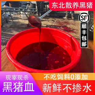 猪血新鲜豆腐纯液体血肠正宗东北农家散养黑猪土猪血糕毛血旺