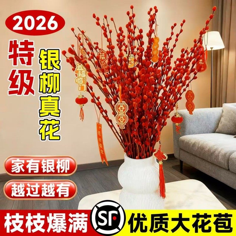 银柳真花鲜枝抱抱福桶喜庆年宵花卉盆栽室内红色干花水培植物雪柳,鲜花速递/花卉仿真/绿植园艺,时令草本花卉,淘宝优惠券,粉丝福利购,淘宝优惠卷
