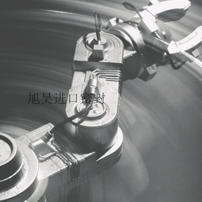 进口德氏封DICHTOMATIK O RING O型圈OR-674 675 676 677 678 679