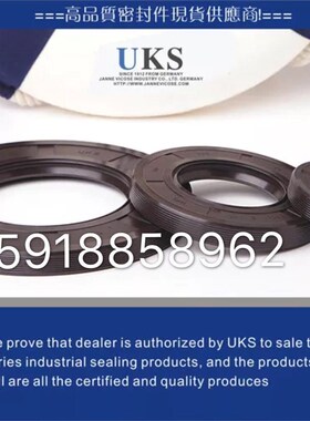 UKS骨架油封现货仓库TCG100*125*10/100*125*12/100*125*13
