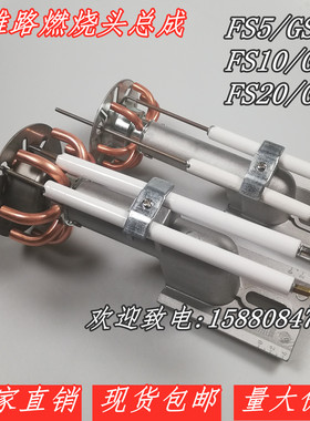 利雅路FS5 GS5 FS10 GS10 FS20 GS20燃烧头 燃烧头总成 燃烧枪