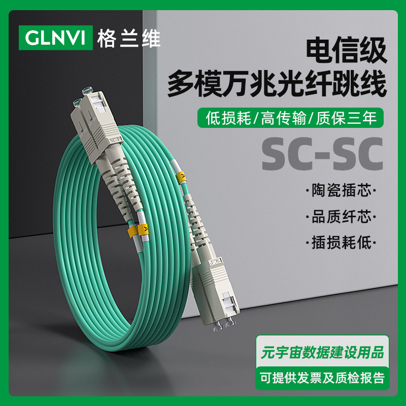 电信级SC-SC万兆多模光纤跳线OM3铠装光纤线双芯OM4尾纤跳纤机房工程sc-sc-lc-fc万兆线50/125通信光缆跳纤