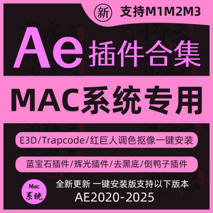 Ae插件全套合集适用于苹果Mac 一键安装中文粒子降噪e3d磨皮20245