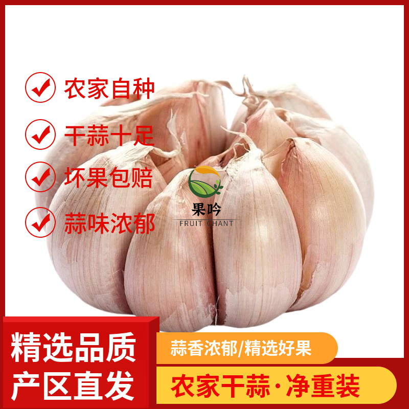 大蒜头精选种籽新鲜蔬菜葱属