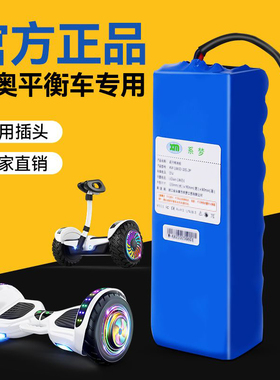 领奥儿童智能电动自平衡车36V通用锂电池组55V原装专用电池零配件