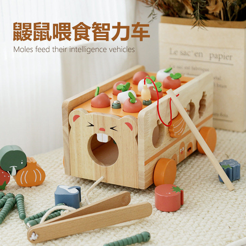 木制多功能儿童拔萝卜捉虫果蔬认知配对喂食智力车早教益智玩具