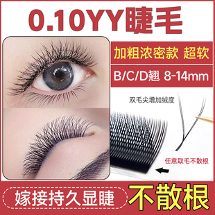 恋夫人0.10浓密yy睫毛嫁接CD翘0.07y型13加粗14mm丫丫美睫店专用