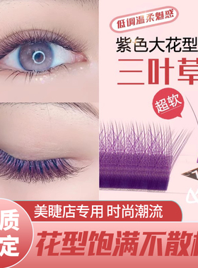 紫色大花三叶草嫁接睫毛超软毛不散根0.05C翘彩色y型yy美睫店专用