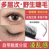 5D野生睫毛嫁接LC型LB翘多层次漫画款 山茶花LJ美睫师种美睫店专用