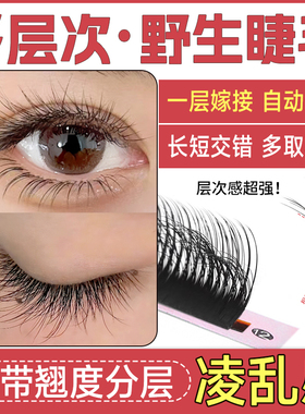 5D野生睫毛嫁接LC型LB翘多层次漫画款山茶花LJ美睫师种美睫店专用