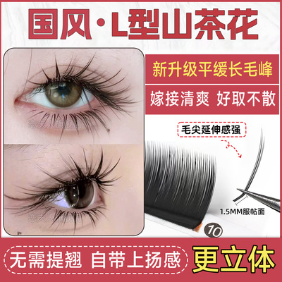 恋夫人LC山茶花睫毛嫁接