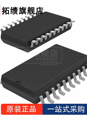 CS5529-ASZ 封装 SSOP-20 16 位模数转换器（ADC）正品原装