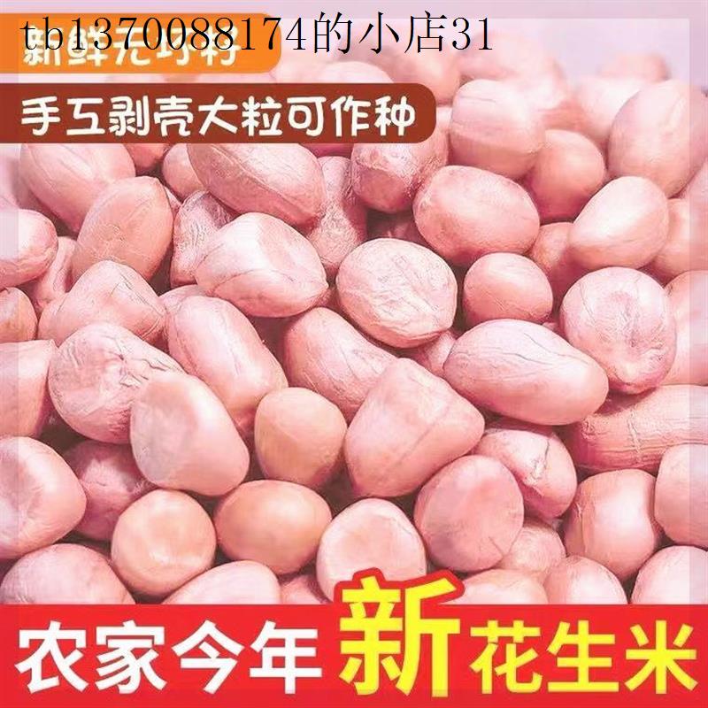 现剥新花生米生新货特级粉皮大粒花生米不带壳