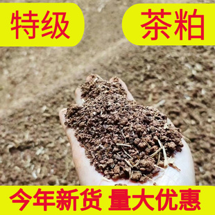 苦茶粕清塘虾蟹塘杀福寿螺杂鱼纤维虫茶枯茶籽饼渣茶麸颗粒调肥水