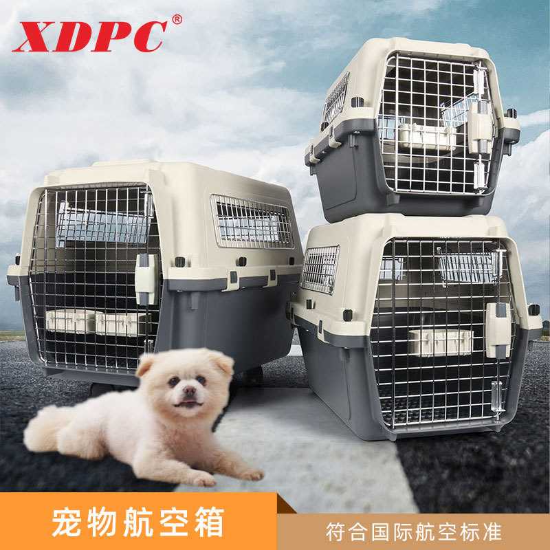 国航标准宠物航空箱宠物托运箱猫咪航空箱飞机托运外出猫包狗笼子