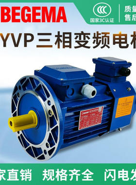 宝戈玛电机 马达 BYVP 750W 4P 380V 立式 三相 变频现货