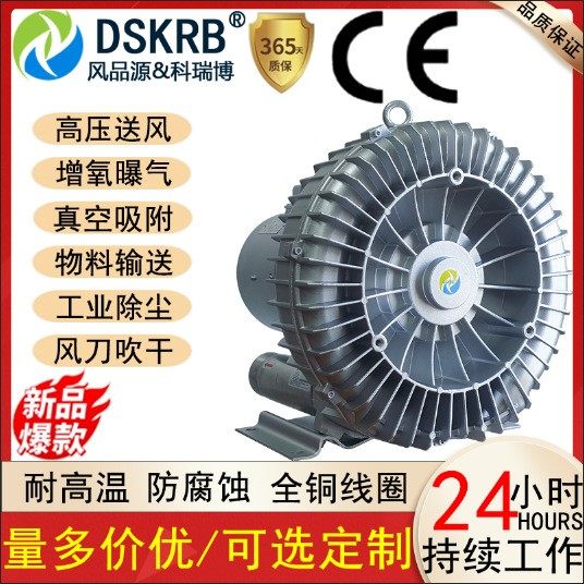 DSKRB气环式真空泵830-380V 4.3KW污水曝气真空吸附气环漩涡式