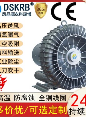 DSKRB气环式真空泵830-380V 4.3KW污水曝气真空吸附气环漩涡式