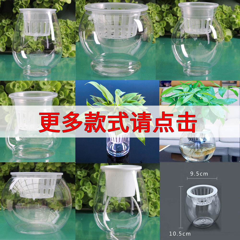 透明水培塑料花瓶绿萝水生植物植物容器室内桌面摆放花盆多个大小 鲜花速递/花卉仿真/绿植园艺 花盆 原图主图