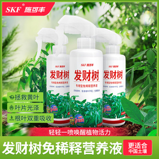 施可丰发财树专用肥免稀释营养液盆栽水培黄叶烂根肥料室内叶面肥