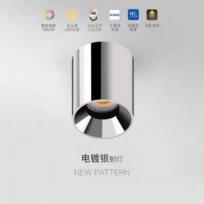 明装筒灯不锈钢防眩电镀银色圆形超薄款中古风客厅餐厅家用射灯