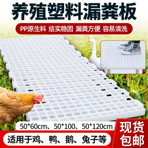 鸡用漏粪板鸡鸭鹅鸡舍鸡场漏粪网