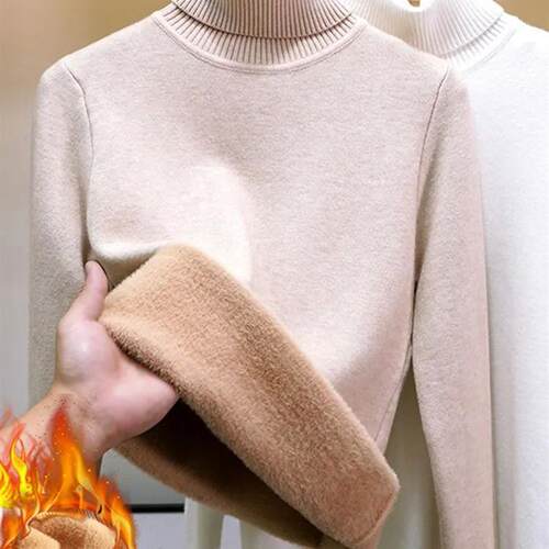 TurtleneckWiSweaomEghV