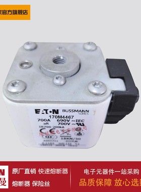 熔断器170M3496 170M3497 170M4488 170M4489 170M4490 170M4491